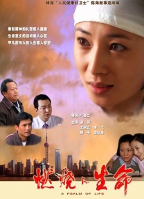 BD高清免费观看