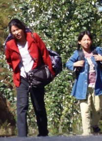 超清HD高清在线观看