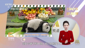 1080P高清完整版播放